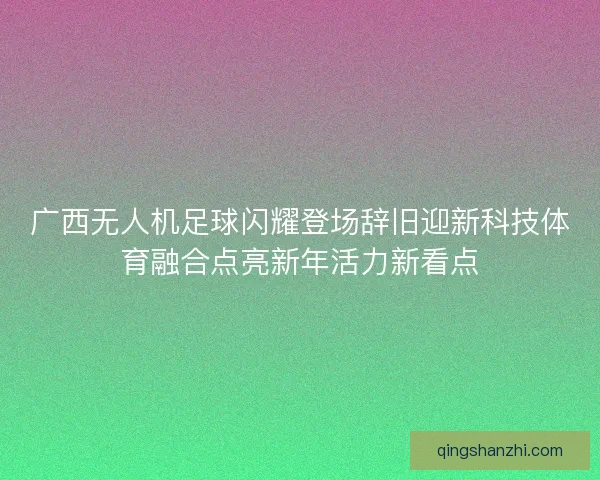 广西无人机足球闪耀登场辞旧迎新科技体育融合点亮新年活力新看点
