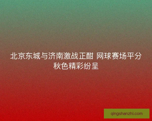 北京东城与济南激战正酣 网球赛场平分秋色精彩纷呈